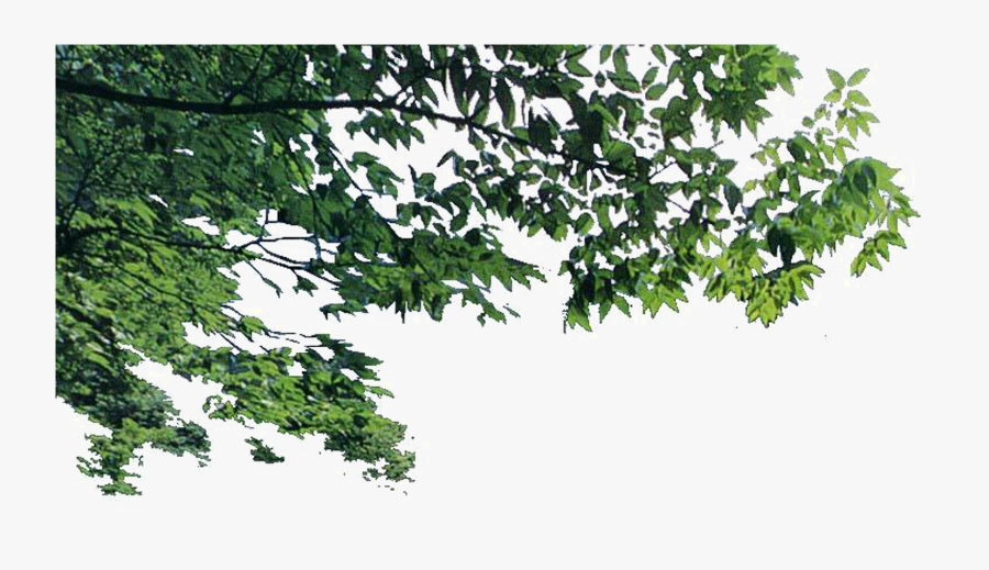 Landscaping Vector Tree - Tree Foreground Png, Transparent Clipart