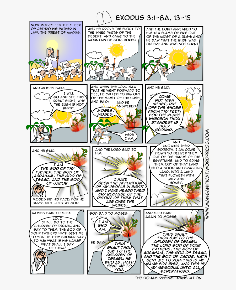 3rd Sun Reading1 - Cartoon, Transparent Clipart