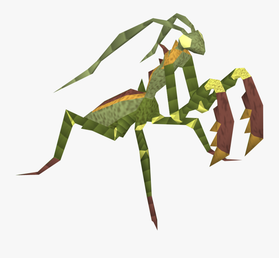 Praying Mantis Png, Transparent Clipart