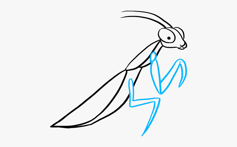 How To Draw Praying Mantis - Praying Mantis Head Drawing, Transparent Clipart
