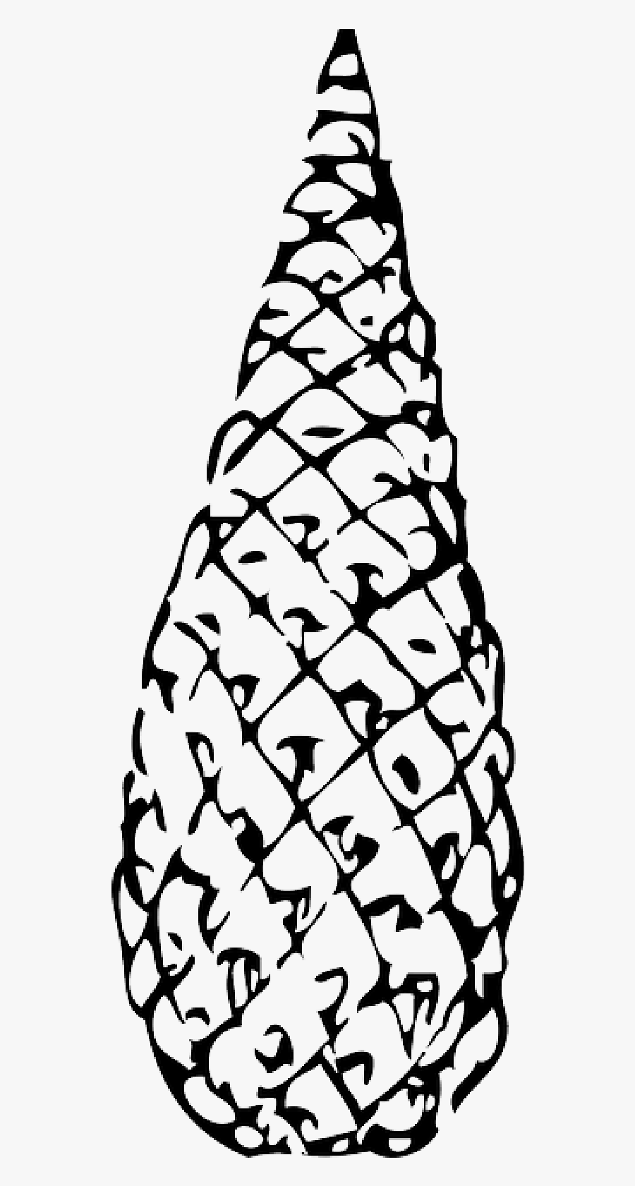 رسم مخروط الصنوبر, Transparent Clipart