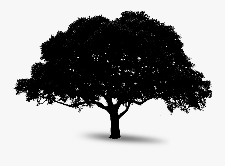 Tree Black And White Png - Tree Minimal Png, Transparent Clipart