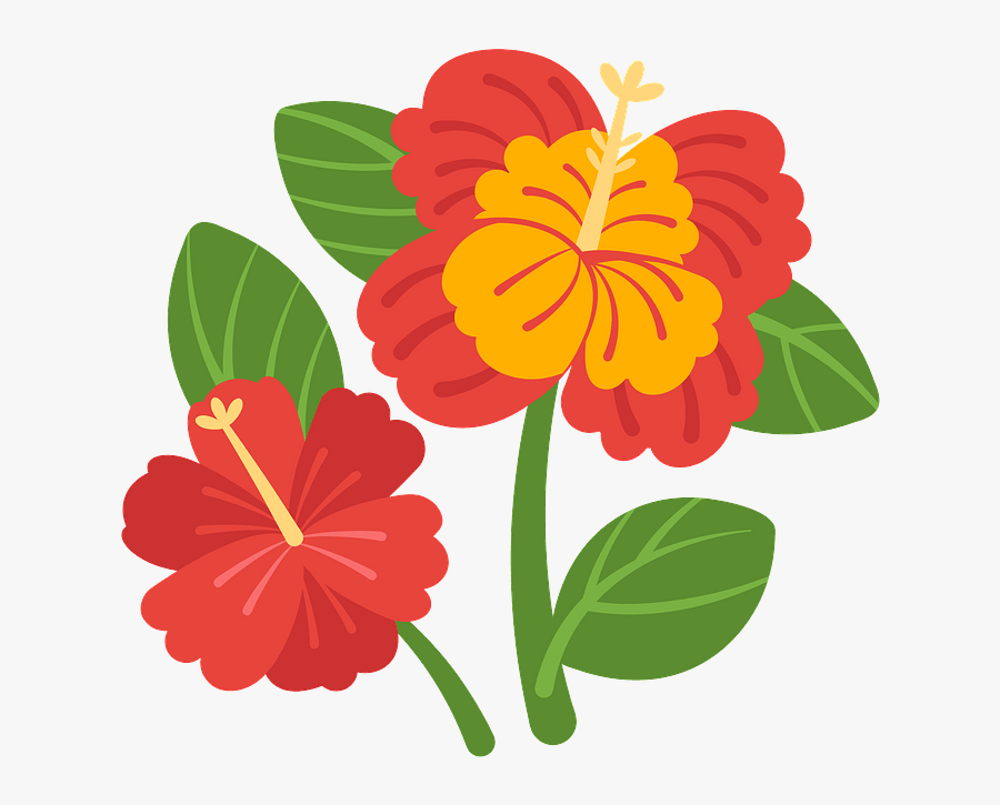 Zinnia Angustifolia, Transparent Clipart