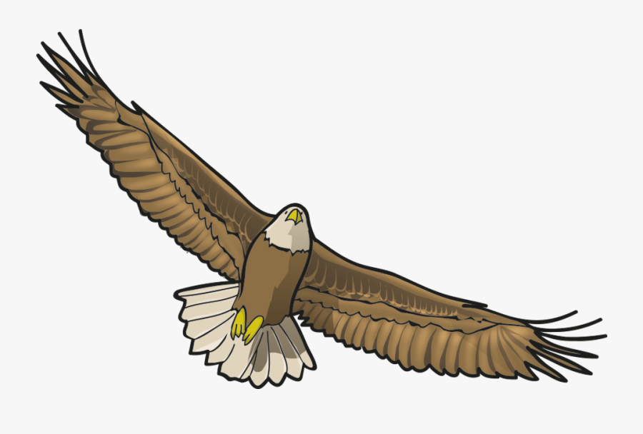 Fly Image Verb , Transparent Cartoons - Fly Verb , Free Transparent ...