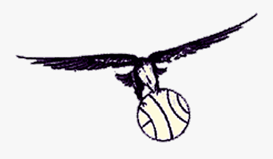 St Louis Hawks Logo Png, Transparent Clipart