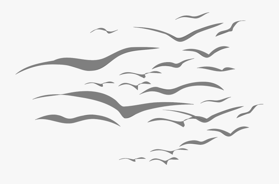 Birds Flock Gray Free Photo - Flock Of Birds Cartoon, Transparent Clipart