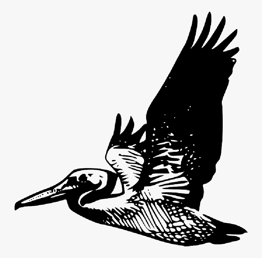 Animals, Silhouette, Cartoon, Birds, Bird, Flying - Pelican Vector, Transparent Clipart
