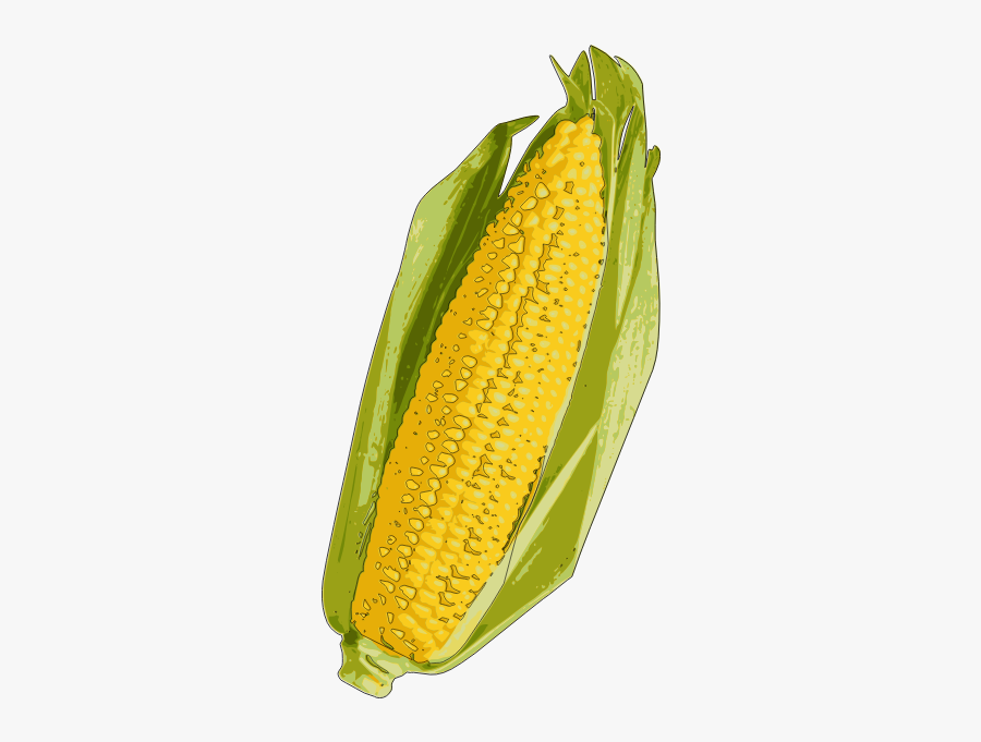 Corn Cob Image - Yellow Corn, Transparent Clipart
