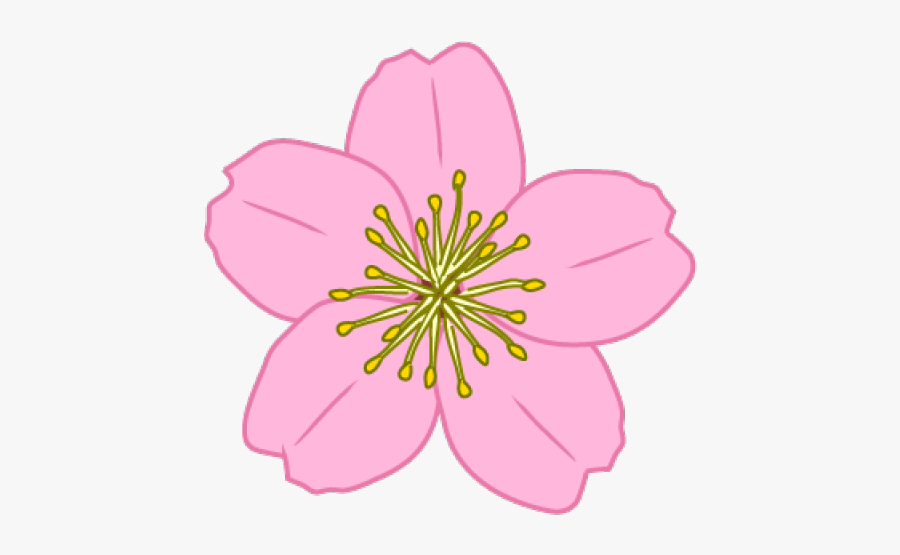 Hawaiian Hibiscus, Transparent Clipart