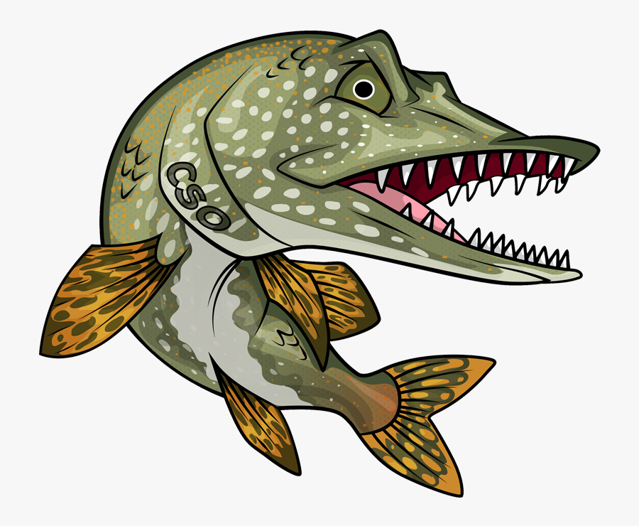 Northern Pike, Transparent Clipart