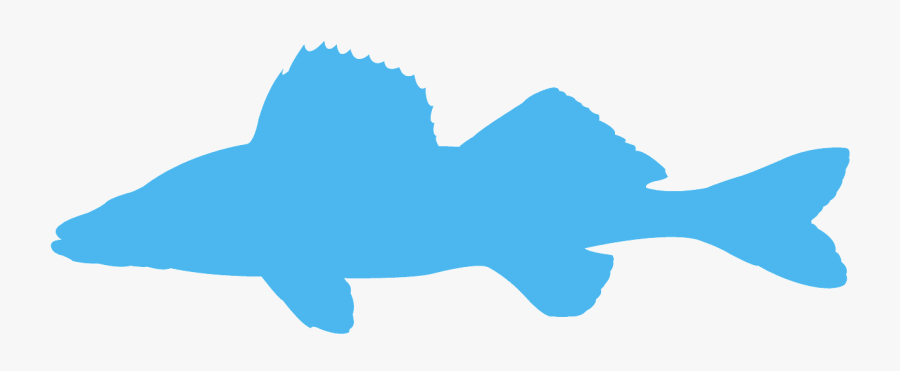 Transparent Walleye Fish Clip Art, Transparent Clipart