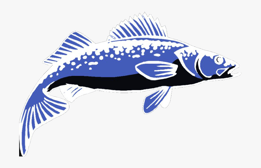 Walleybaits - Bass, Transparent Clipart