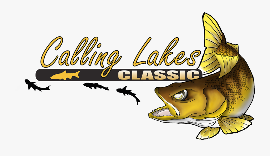 Pomacentridae, Transparent Clipart