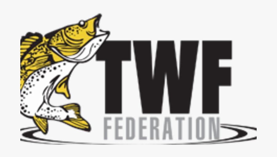 7733483, Transparent Clipart