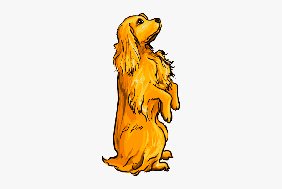 Instructions On How To Draw Dogs - Cocker Spaniel, Transparent Clipart