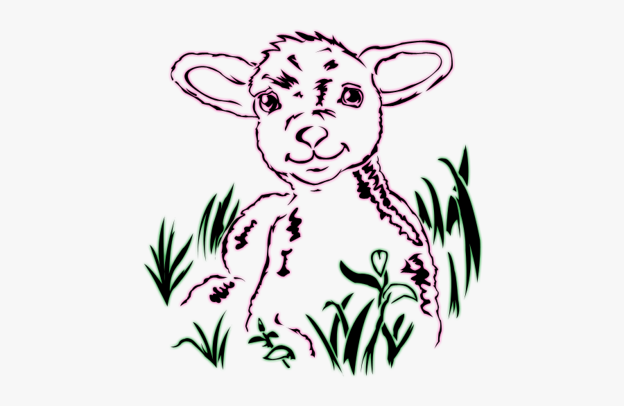 Sheep Drawing Line Art - Drawing, Transparent Clipart