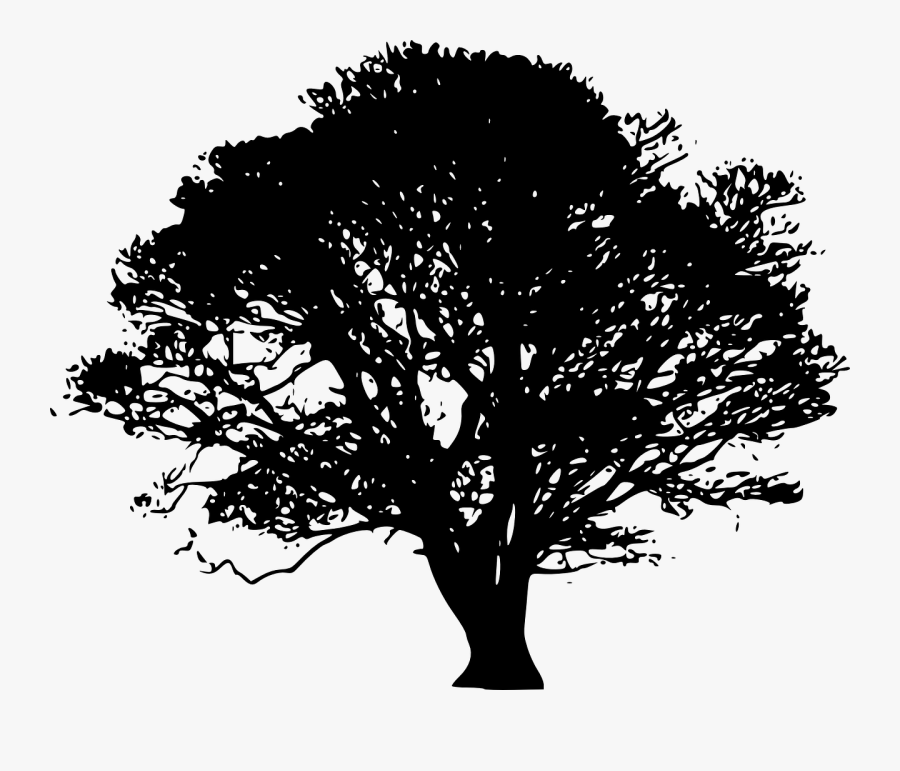 Tree Silhouette Oak Clip Art - Tree Vector Black Png, Transparent Clipart