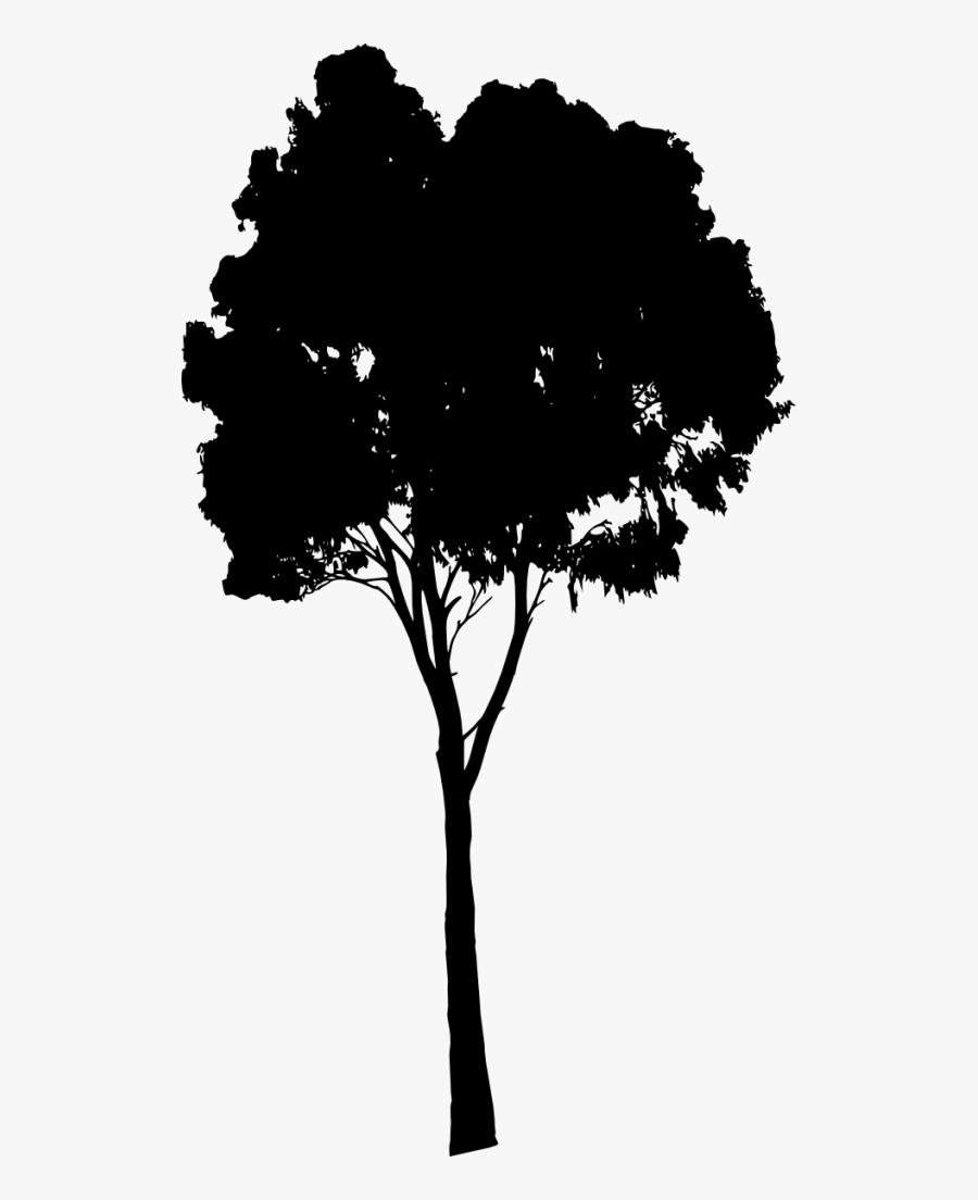 Download Free Png Tree Silhouette - Tree Silhouette Png, Transparent Clipart