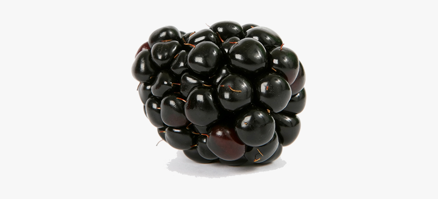 Clip Art Frutos Del Bosque De, Transparent Clipart