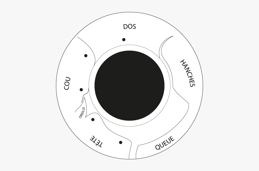 Clip Art Diy Tire Swing - Fabriquer Balancoire Pneu Cheval, Transparent Clipart