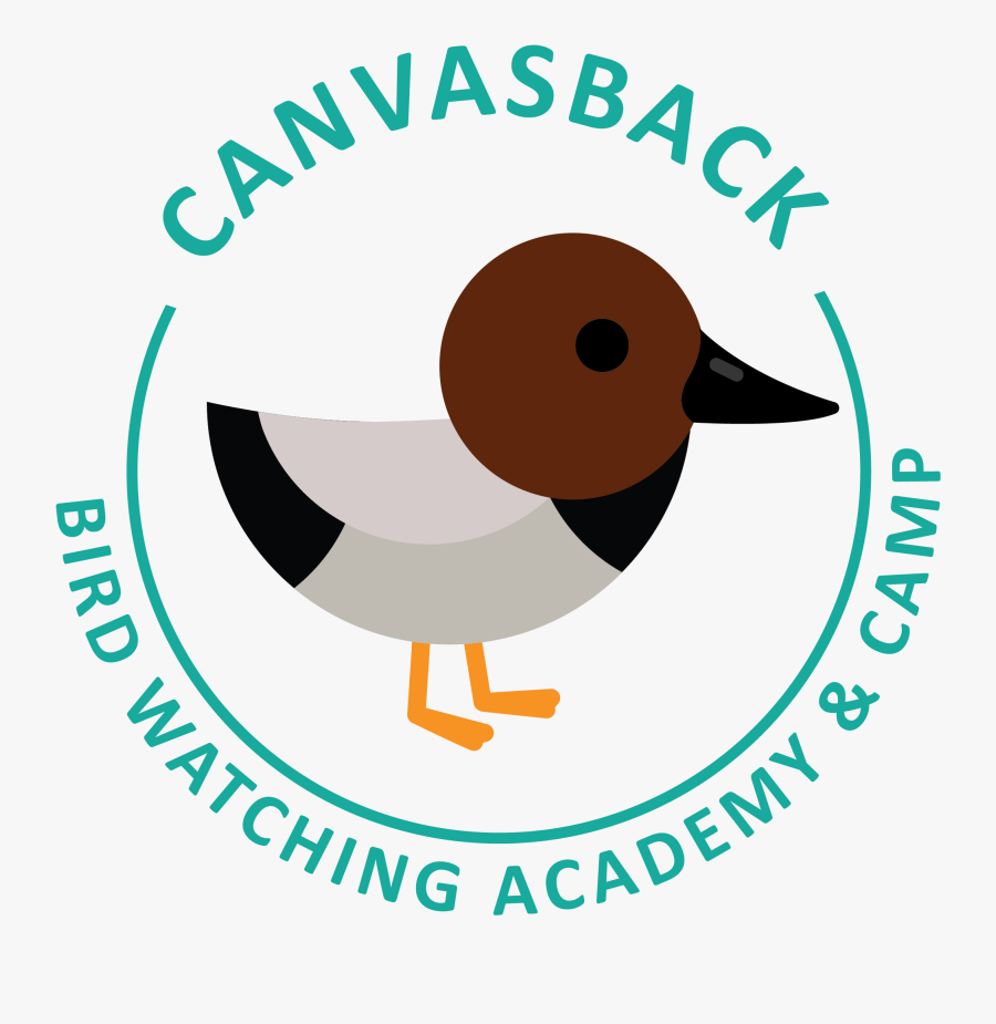 Canvasback Picture - Oil & Gas Uk, Transparent Clipart