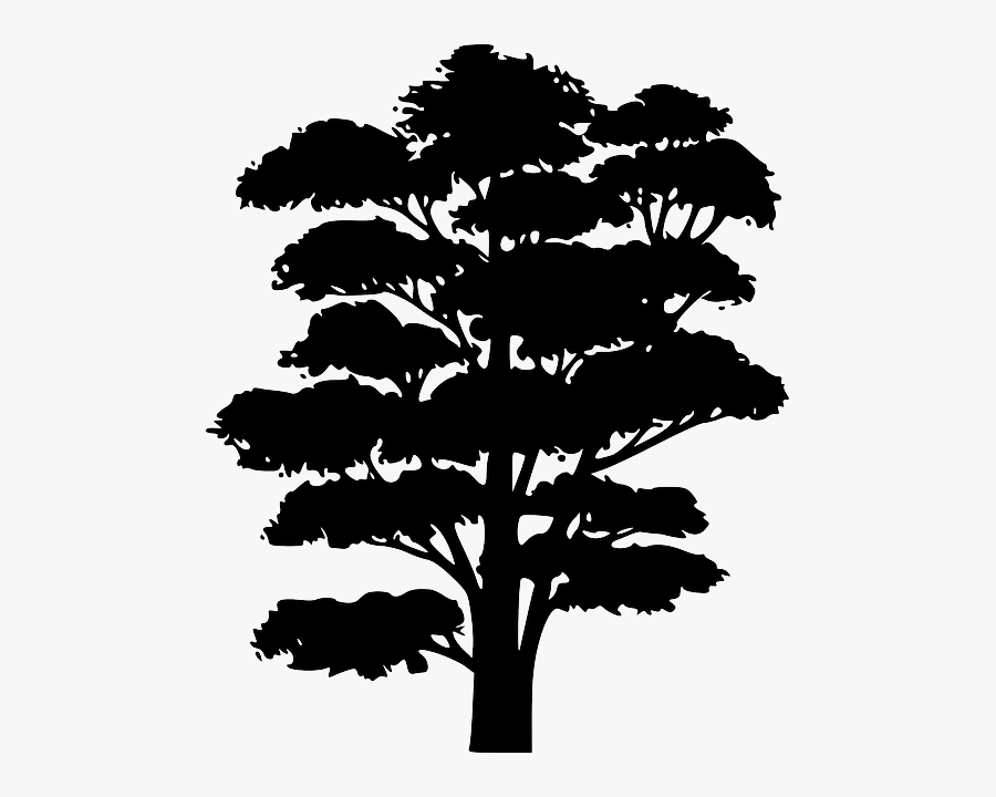 Transparent Cartoon Black And White Tree, Transparent Clipart