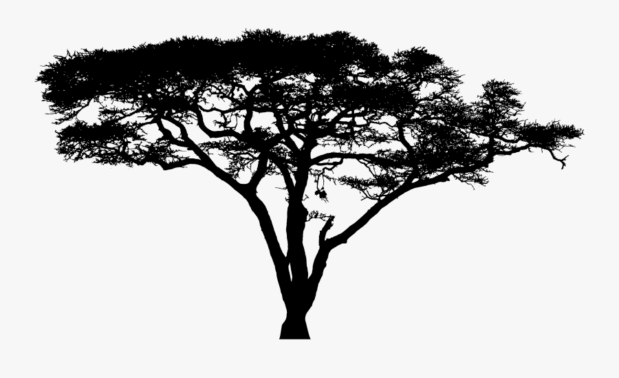 Clipart Silhouette Big Image - Acacia Tree Logo Png, Transparent Clipart