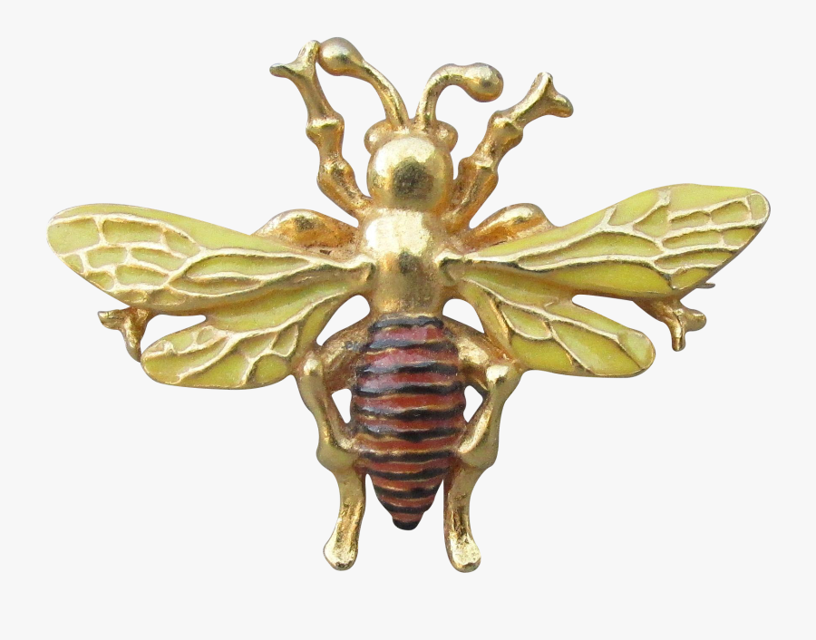 Vintage Bee Png - Honeybee, Transparent Clipart