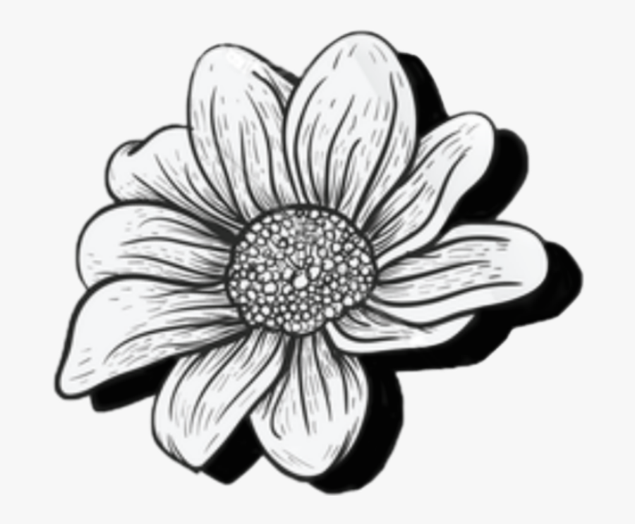 #outline #flower #sunflower #blackandwhite - African Daisy, Transparent Clipart