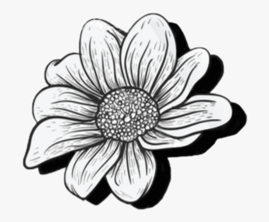 Free Free 240 Outline Free Sunflower Clipart SVG PNG EPS DXF File