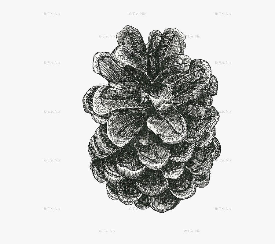 Wallpaper Nixanimalia Spoonflower - Portable Network Graphics, Transparent Clipart