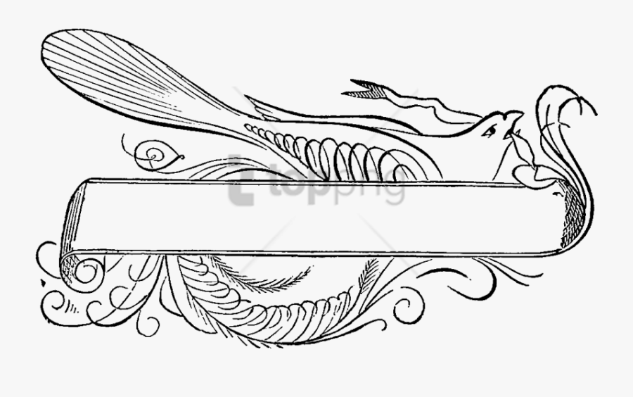Frame Image With Transparent - Flourishing Ornamental, Transparent Clipart