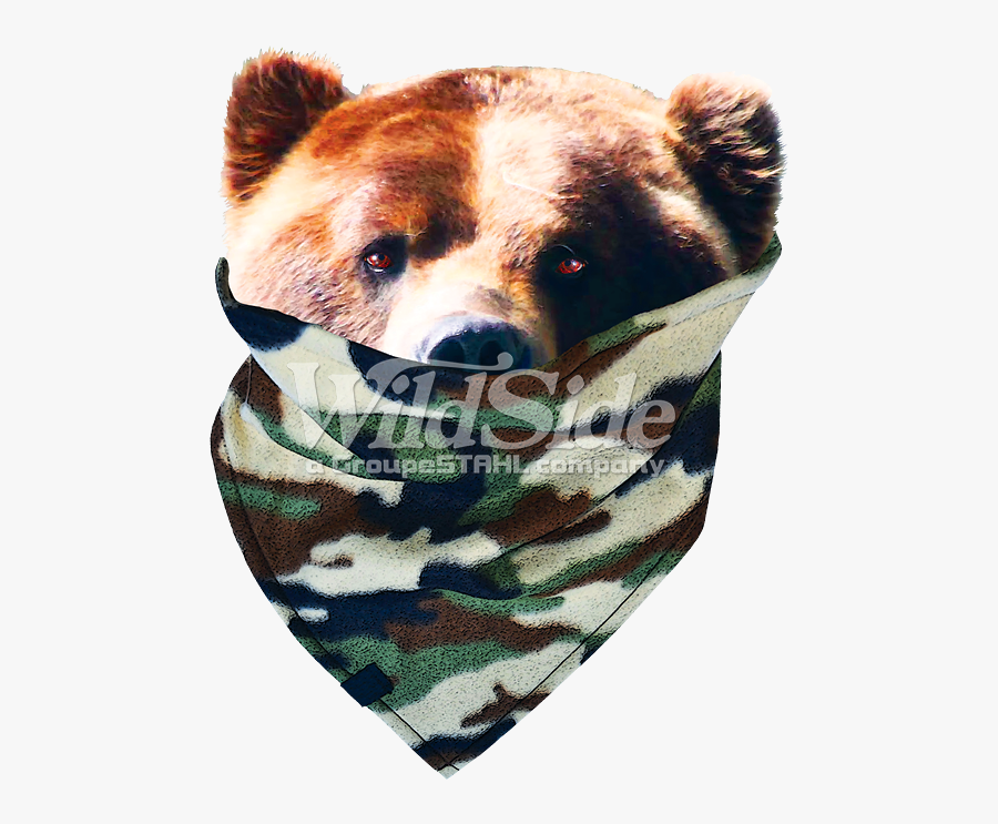 Bear With Camo The - Kodiak Bear, Transparent Clipart