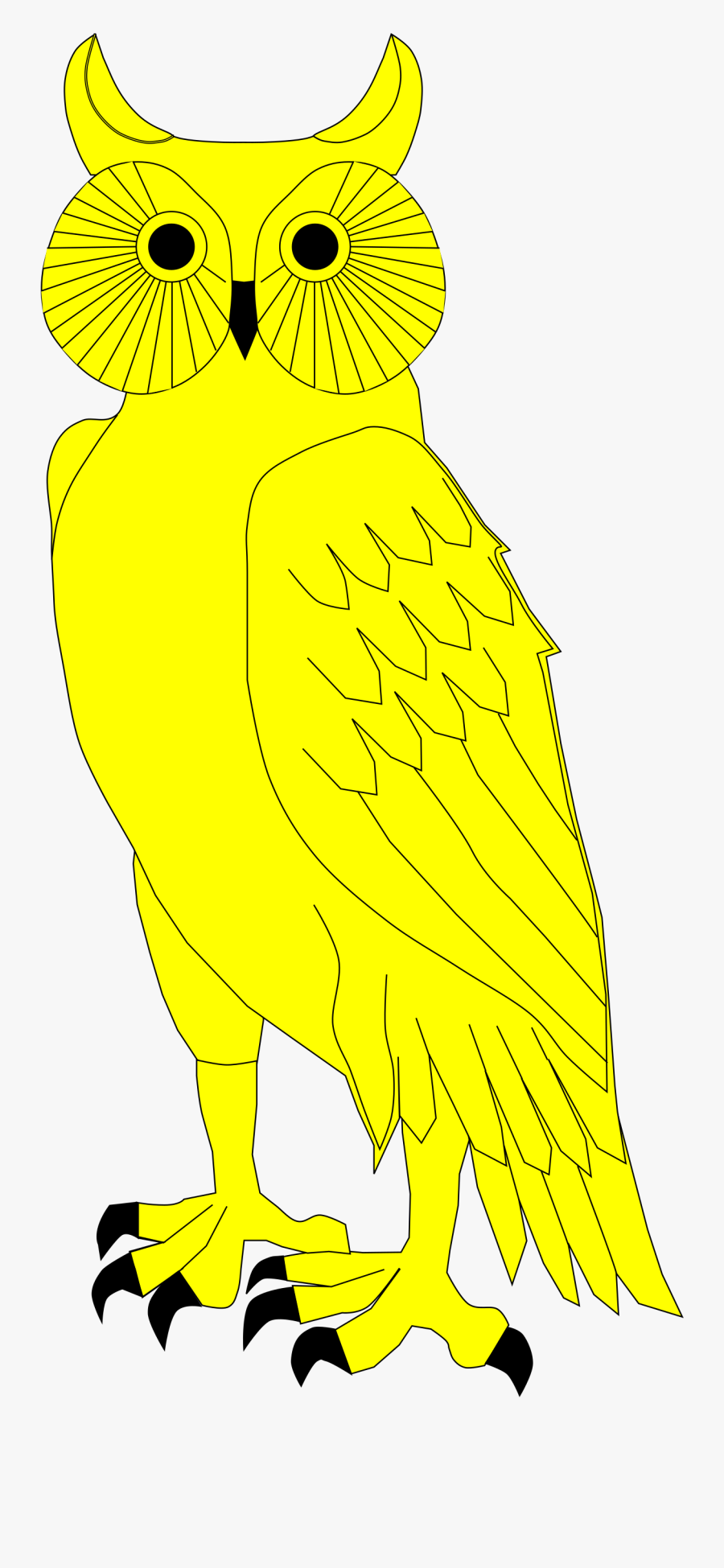 Png Owl -and Svg Owl - Parrot, Transparent Clipart