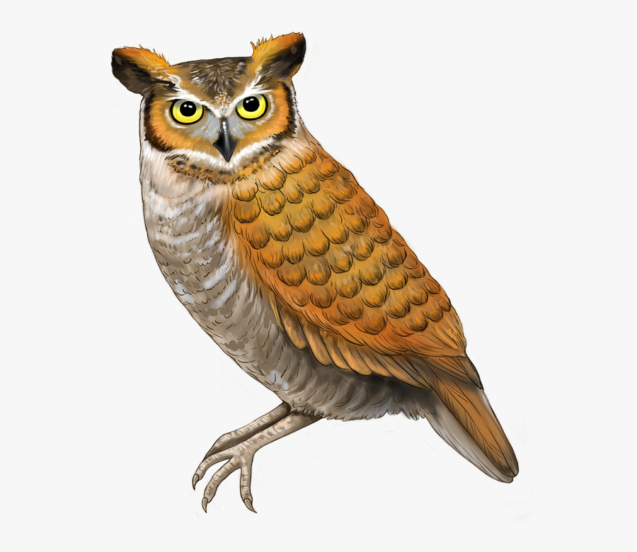 Great Horned Owl, Transparent Clipart