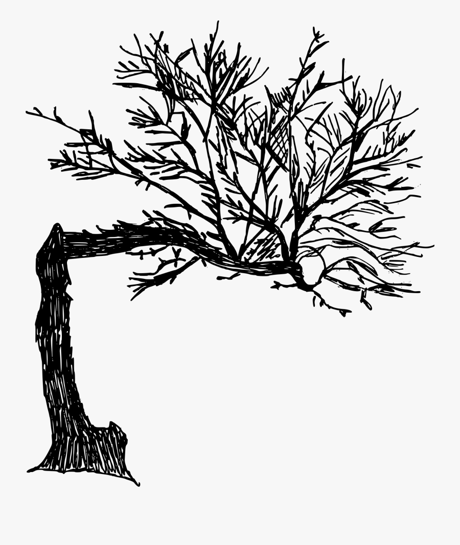 Tree Drawing Png, Transparent Clipart