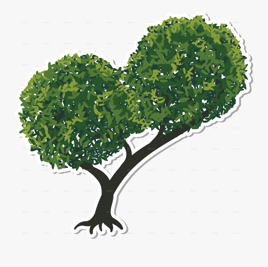 Oak, Transparent Clipart