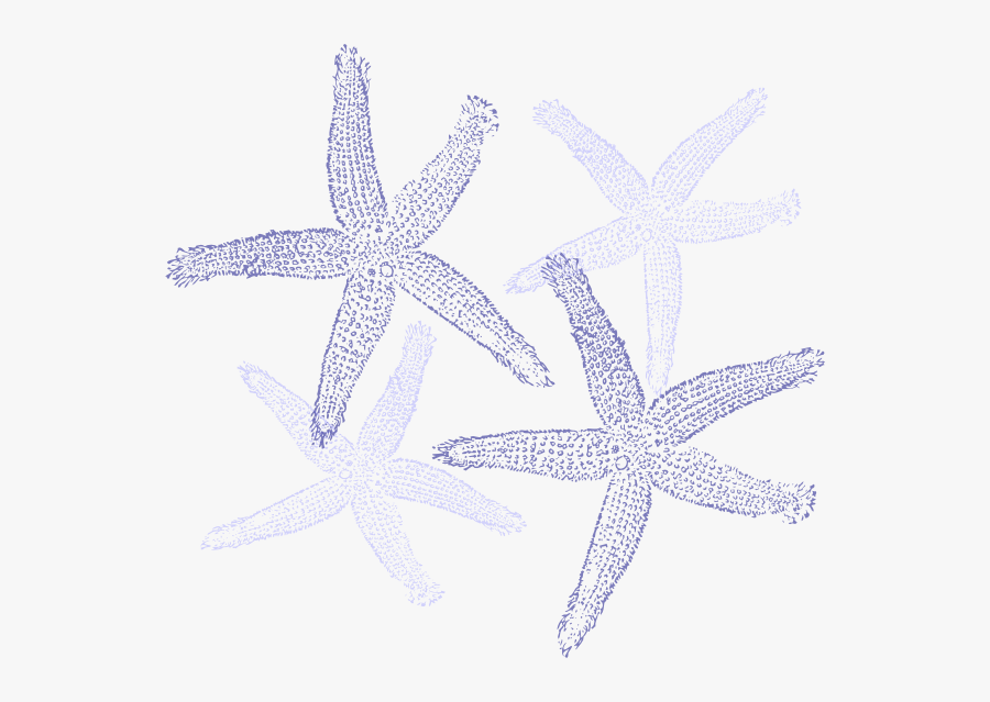 Fish Clip Art, Transparent Clipart