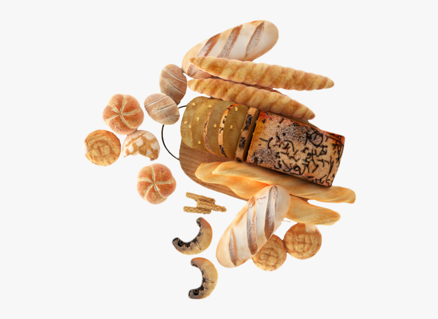 D Realistic Food - Chametz, Transparent Clipart