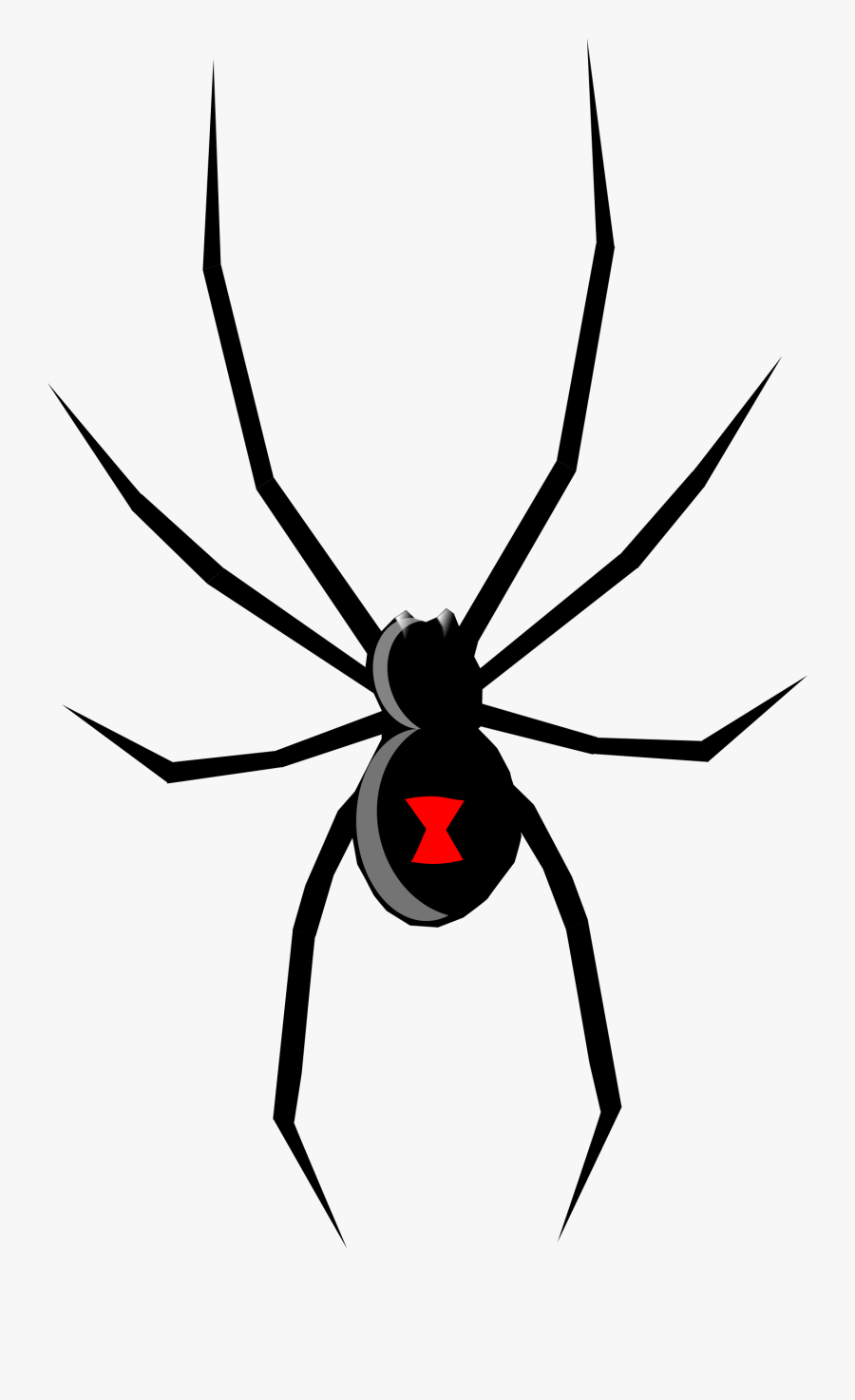 Big Image - Animated Black Widow Spider, Transparent Clipart