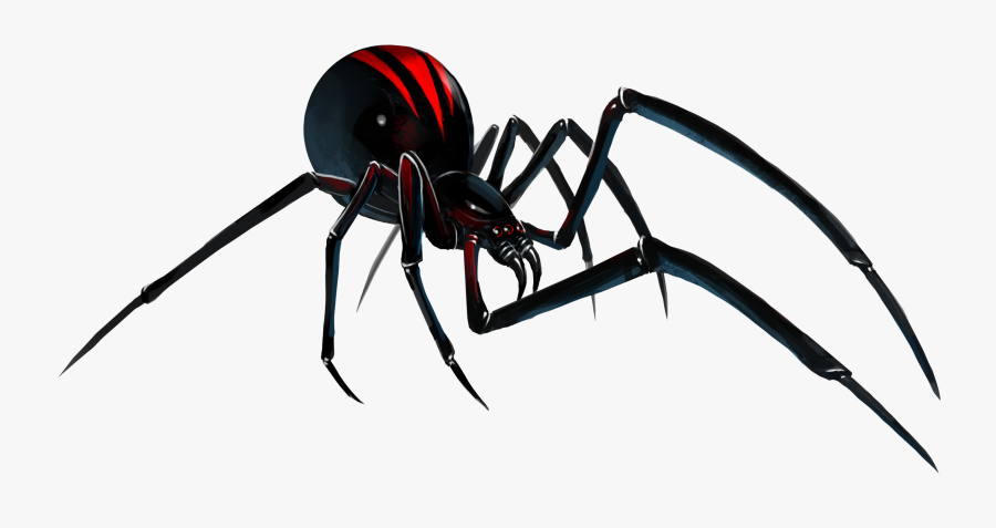 Black Widow Clipart Transparent - Black Widow Spider Png, Transparent Clipart