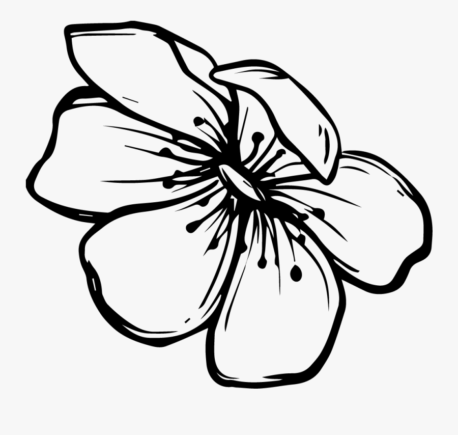 Flower Clipart Black And White - Black And White Flower, Transparent Clipart