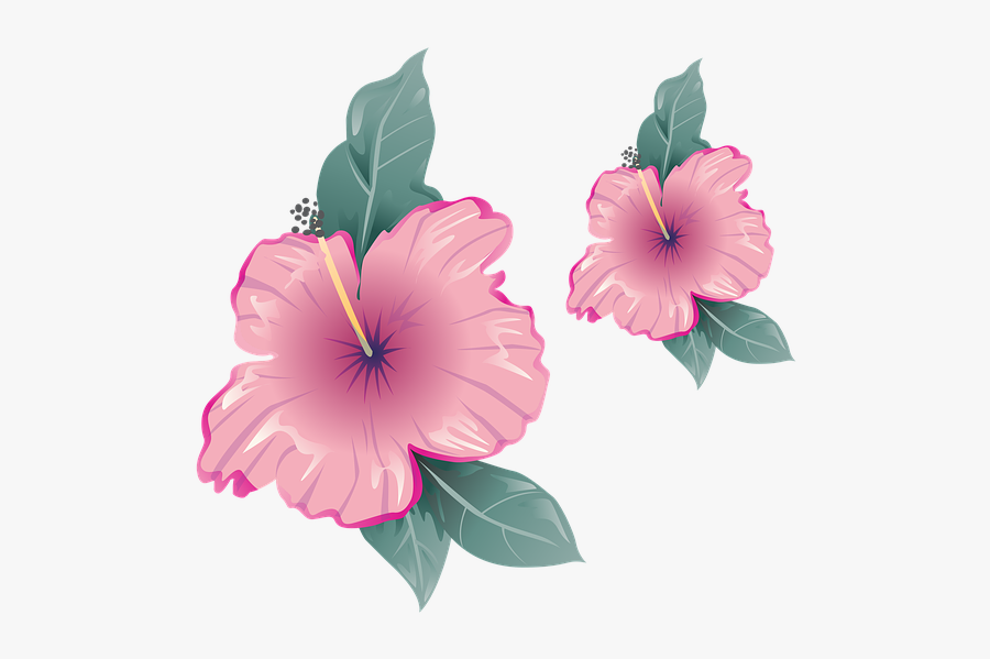 Flower, Clipart, Pink, Red, Beautiful, Nature - Fleur Icone, Transparent Clipart