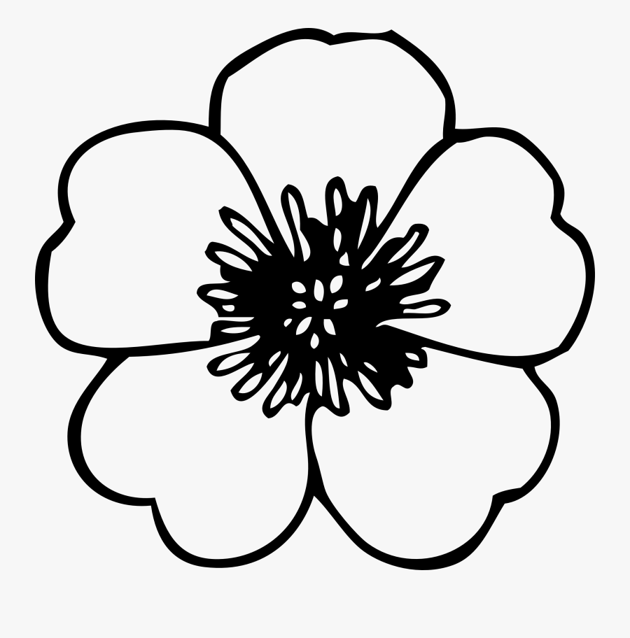 Simple Flower Clipart Black And White Line Drawing Of Flower Free Transparent Clipart Clipartkey,Design Very Small Room Ideas For Girls