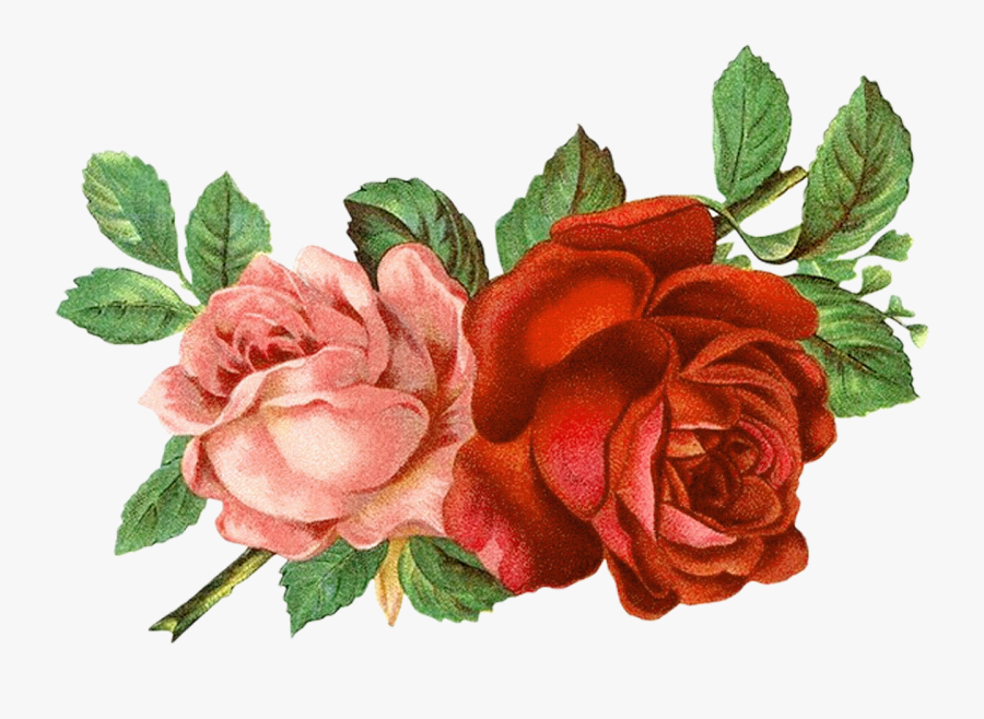 Flower Clipart Floral Clipart Roses Clipart Free Picture - Vintage Red Roses Png, Transparent Clipart