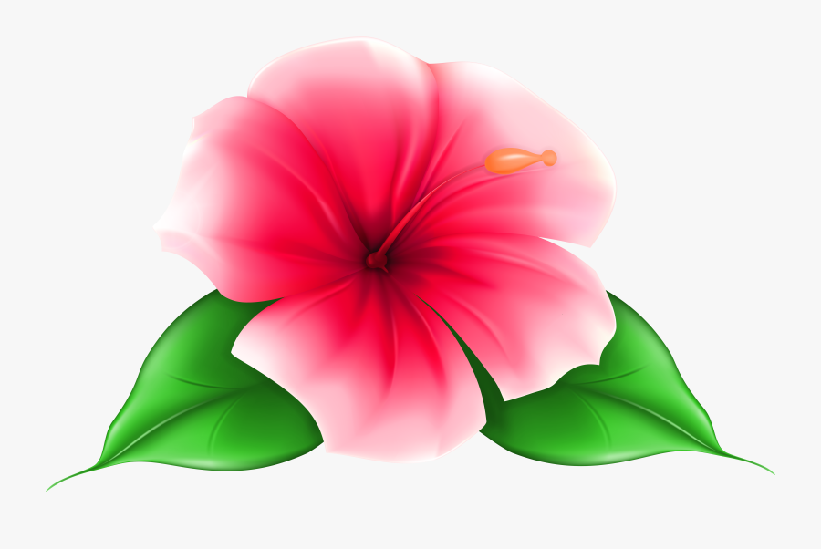 Free Download Best X - Tropical Flower Free Clipart, Transparent Clipart