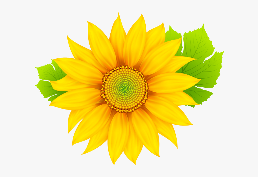 Sun Flower Clipart Png Image Free Download Searchpng - Yellow Flower Clipart Png, Transparent Clipart