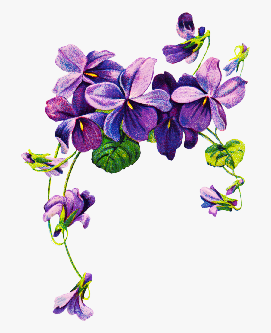 Thumb Image - Violet Png, Transparent Clipart