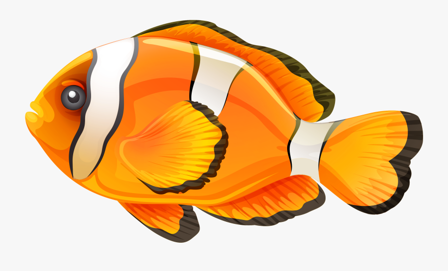 Transparent Fish Clip Art - Clown Fish Clipart Png, Transparent Clipart