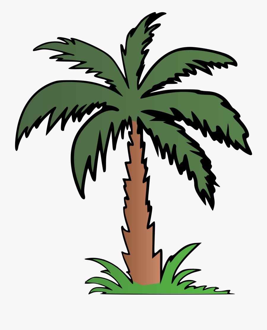 Transparent Tree Clipart - Palm Tree Colour, Transparent Clipart